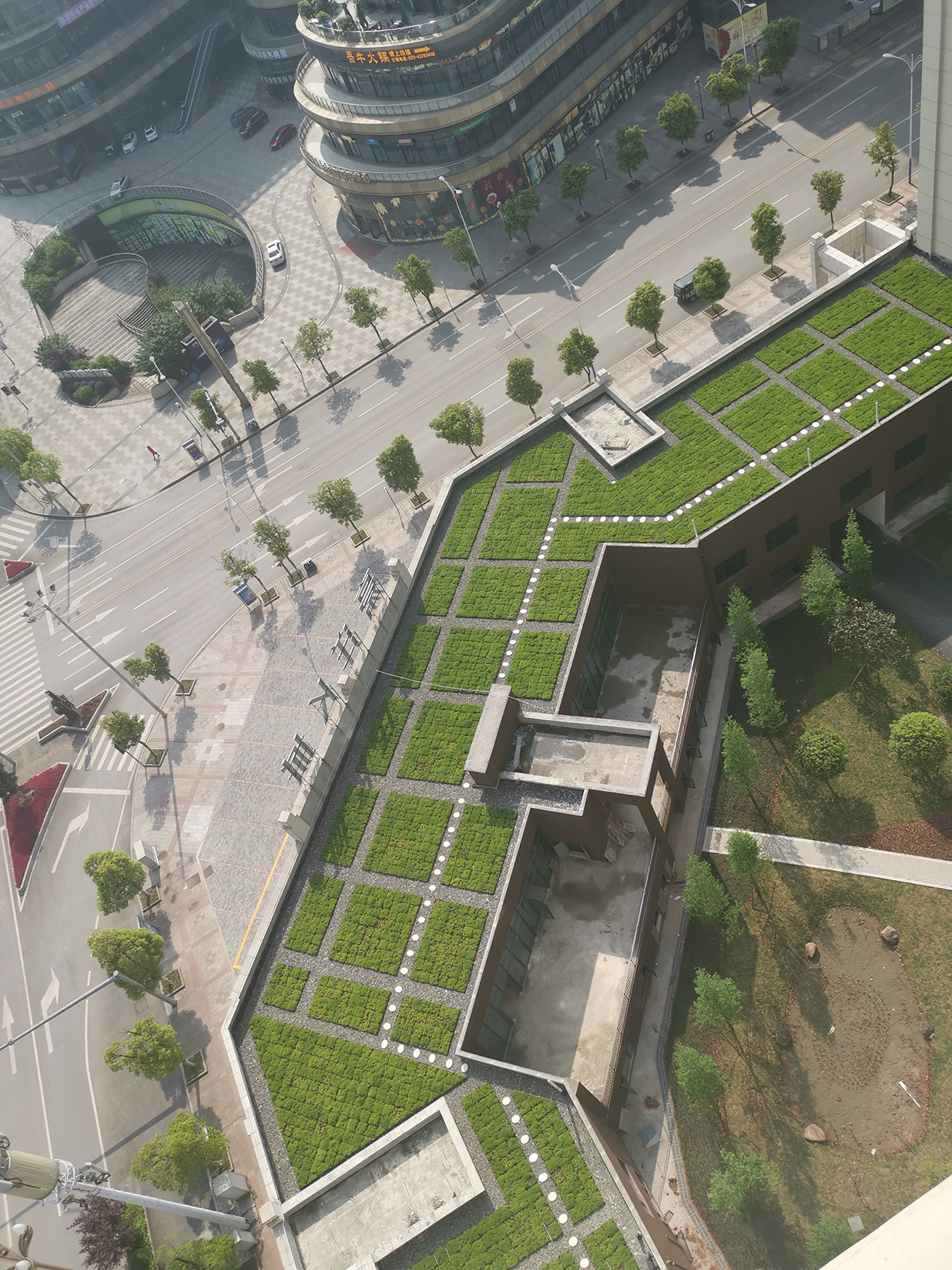 1621819376876600.jpg 屋頂綠化現(xiàn)場照片 (4)縮小版.jpg