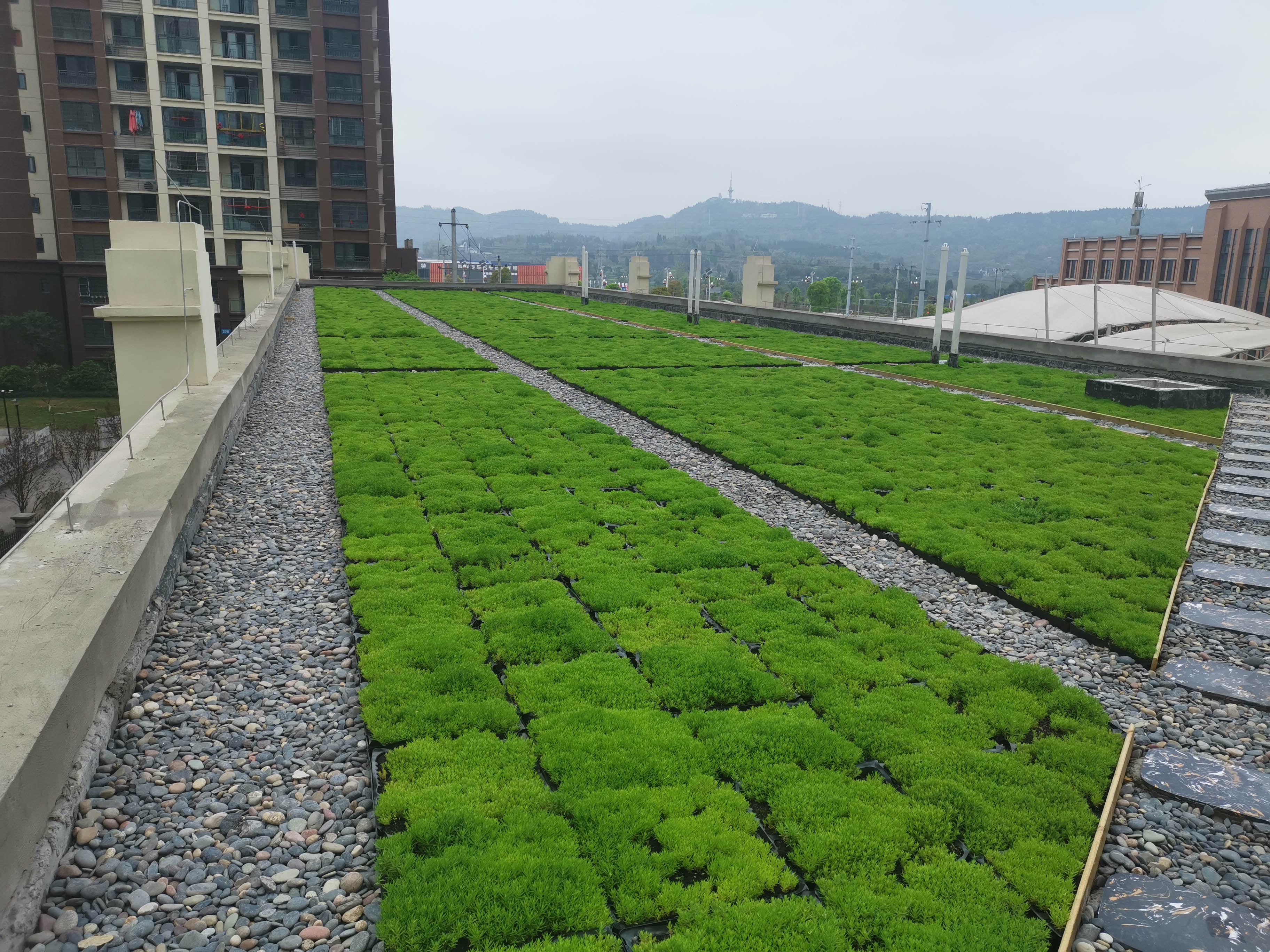 1621819952183702.jpg 屋頂綠化現(xiàn)場照片 (12)縮小版.jpg